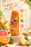 شامپو بدن هوبی Hobby حجم ۵۰۰ میل در رایحههای متنوع